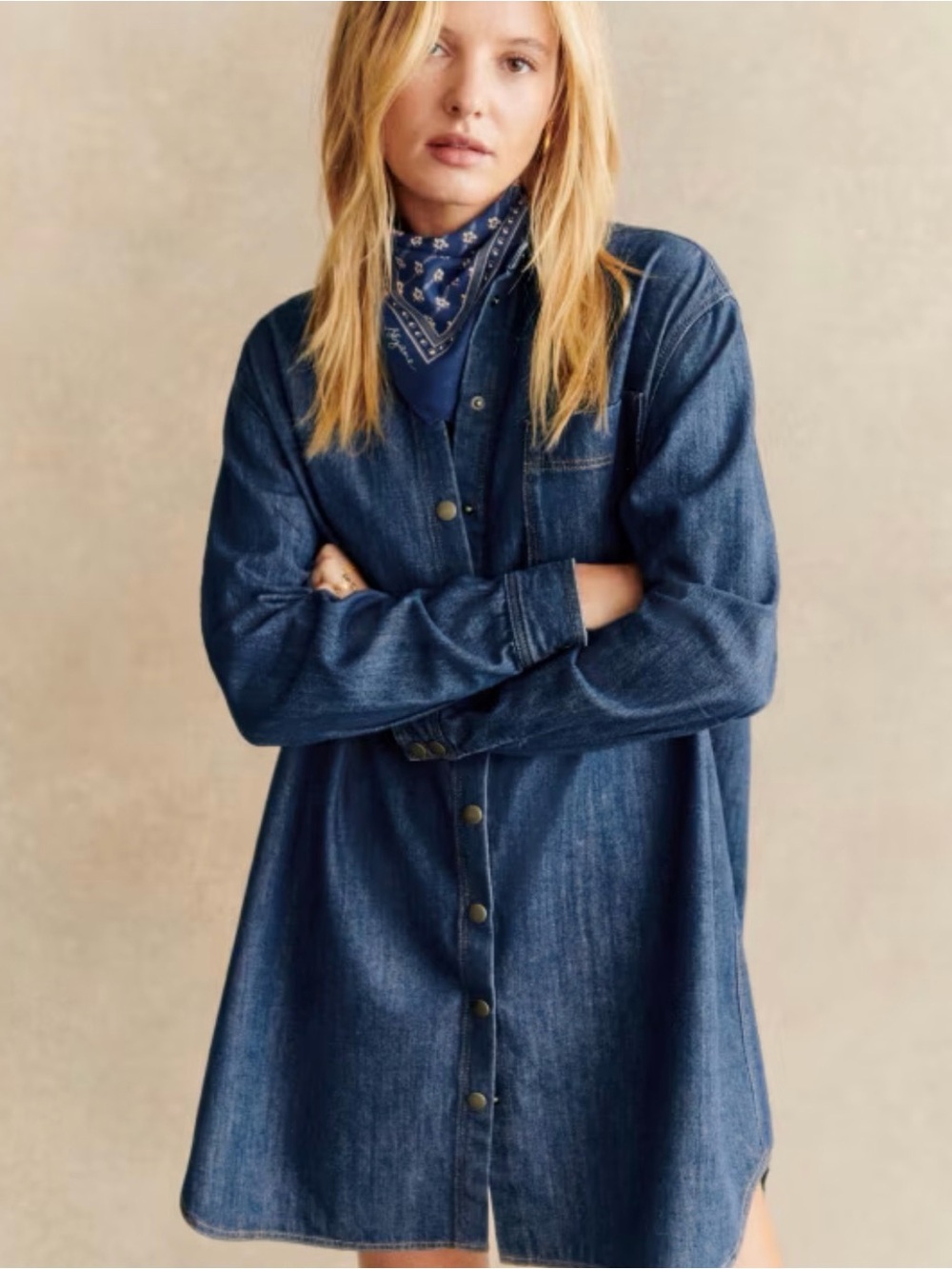 Sezane Sadie Denim Shirt Dress